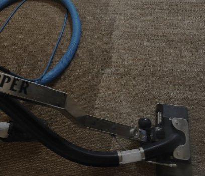 Carpet Cleaning in Fannin County