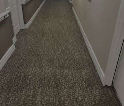 Carpet Cleaning in Fannin County